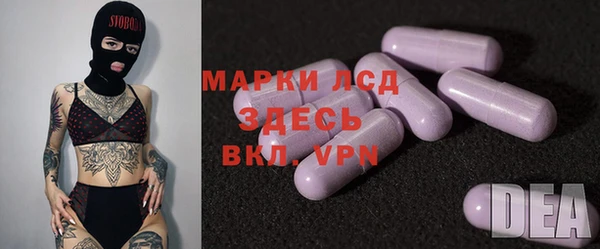 шишки Беломорск