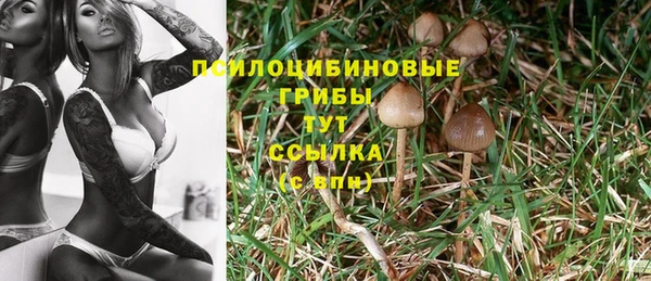 2c-b Баксан