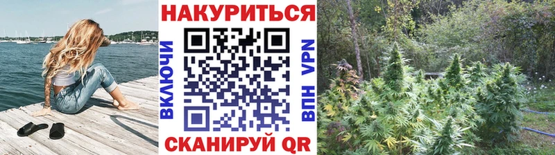 закладка  Кондрово  Конопля Bruce Banner 